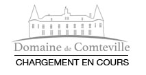 Domaine de Comtevile : CHÂTEAU DE COMTEVILLE